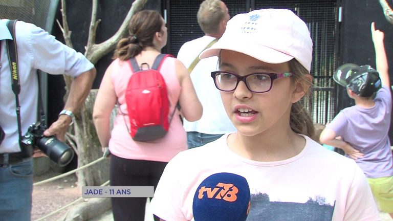 Thoiry : Les nouveautés du parc zoologique à découvrir cet été