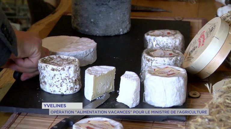 Yvelines : Opération « Alimentation Vacances » pour le ministre de l&rsquo;agriculture