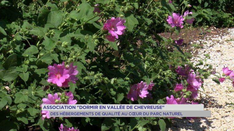 Vallée de Chevreuse : se mettre au vert au sein du PNR