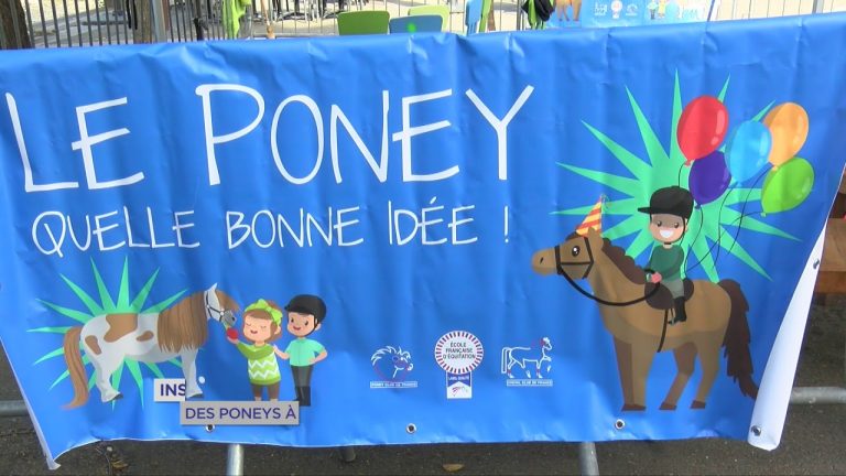Insolite : Des poneys à l’espace Saint-Quentin