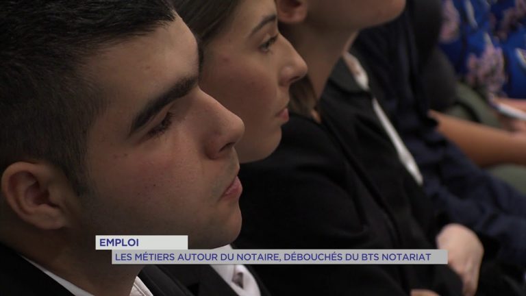 Emploi : Les métiers autour du notaire, débouchés du BTS notariat