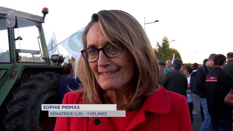 Houdan : Éleveurs et bouchers contre antispécistes