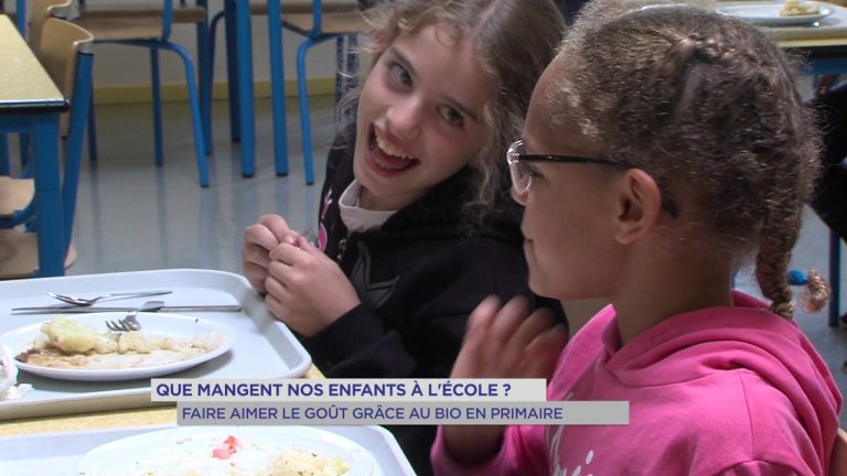 Que mangent nos enfants ? : faire aimer le goût grâce au bio dans les écoles