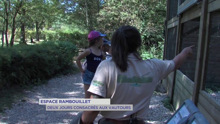 Espace Rambouillet : deux jours consacrés aux vautours