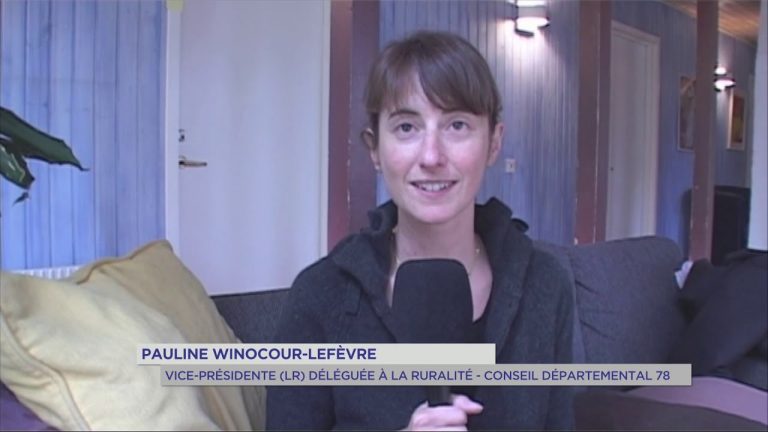 Yvelines : la Maison de l&rsquo;Europe à la découverte de la ruralité suédoise
