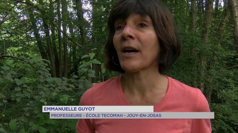 Bonnelles : les chantiers nature participatifs pour préserver la nature