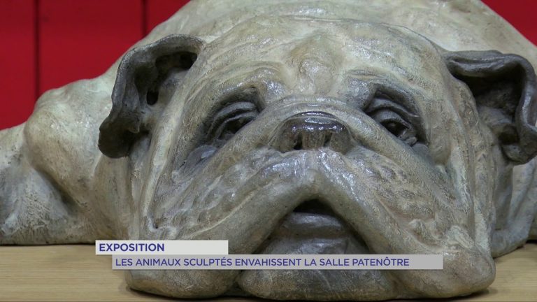 Exposition : Les animaux sculptés envahissent la salle Patenôtre