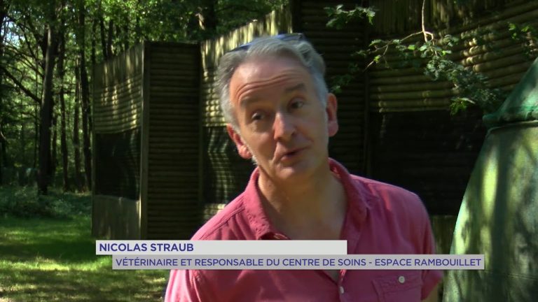 Espace Rambouillet : un centre de soins pour rapaces