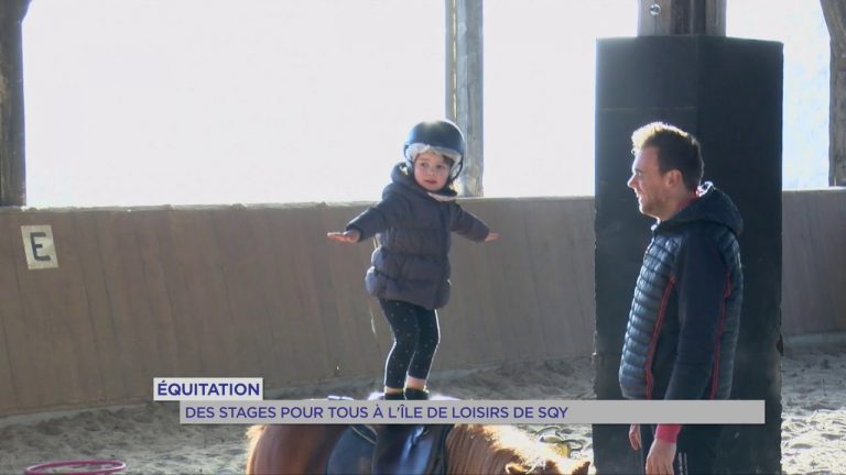 Équitation : des stages pour tous à l&rsquo;île de loisirs de SQY