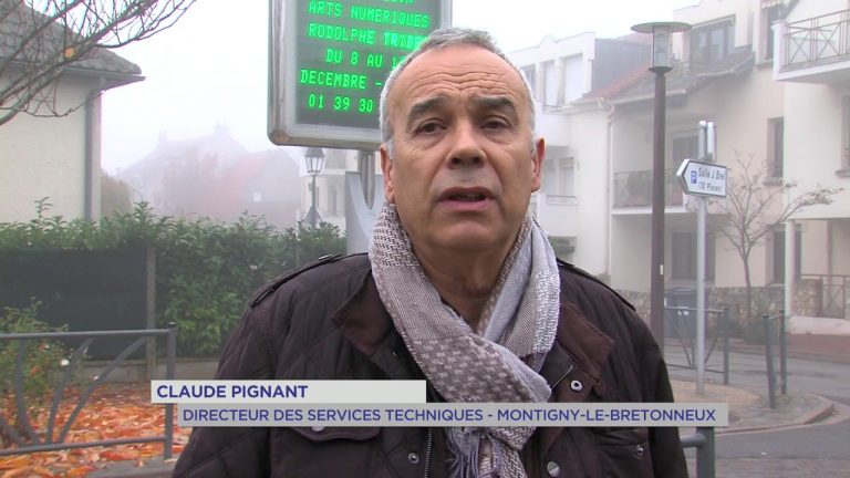 Yvelines | Montigny-le-Bretonneux : Les décorations de Noël sont déjà de sortie