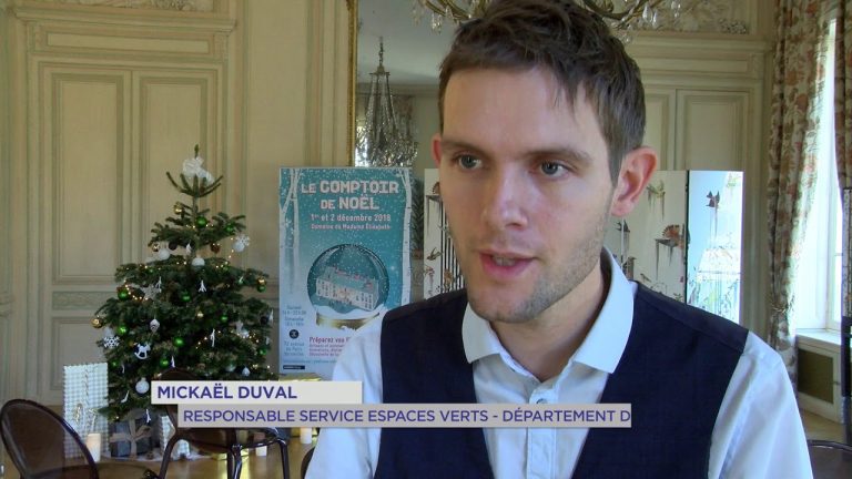 Yvelines | Versailles : 1ère édition du Comptoir de noël au Domaine de Madame Elisabeth