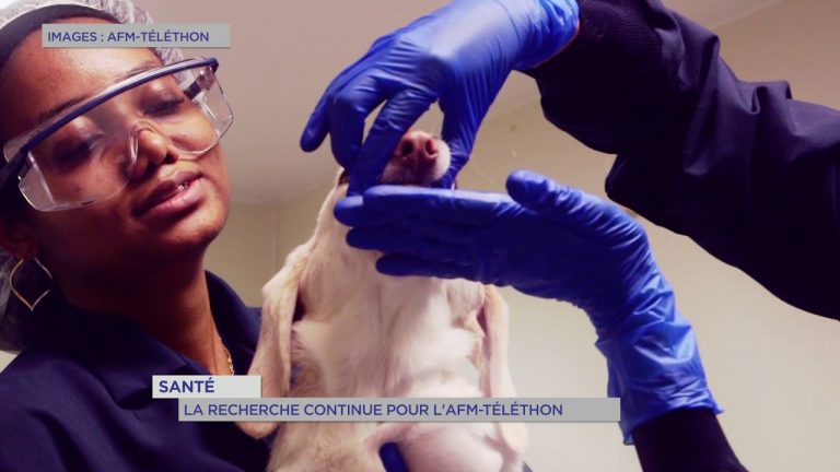 Yvelines | Santé : la recherche continue pour l’AFM-Téléthon