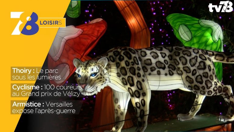 7/8 Loisirs. jeudi 8 novembre 2018