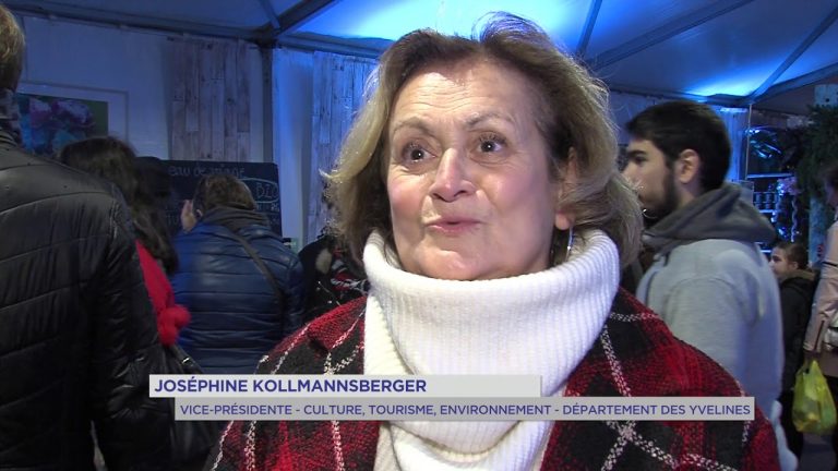 Yvelines | Versailles : Les festivités de noël commencent