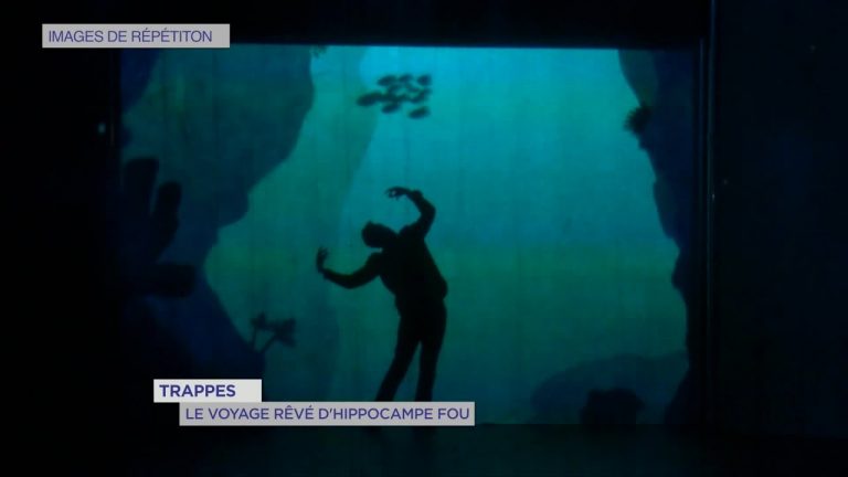 Yvelines | Trappes : Le voyage rêvé d’Hippocampe Fou
