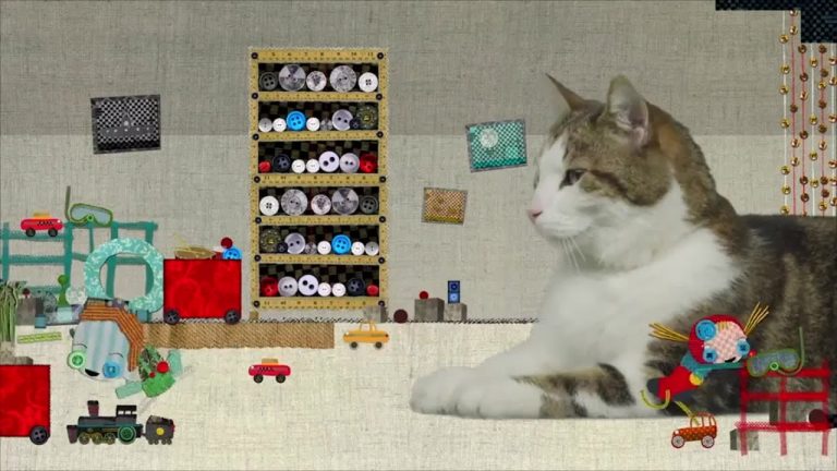 Dans les salles Saint-Quentinoises 16 janvier 2019