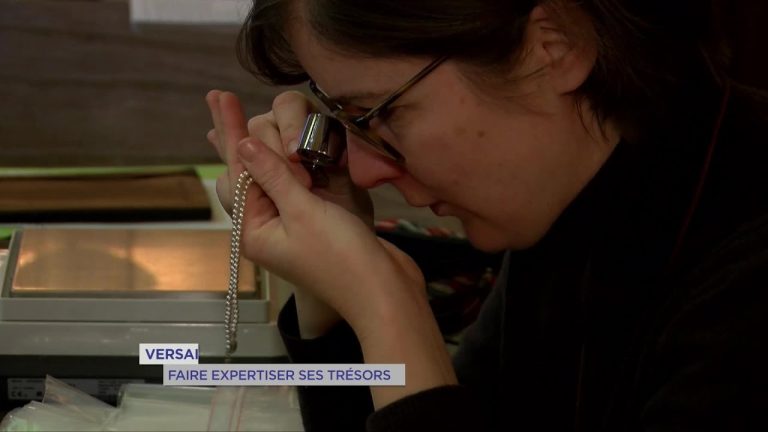 Yvelines | Faire expertiser ses trésors à Versailles