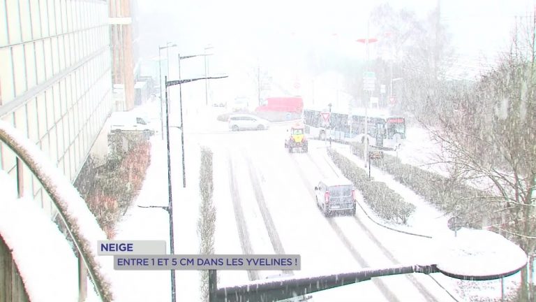 Yvelines | Neige : Entre 1 et 5 cm dans les Yvelines !
