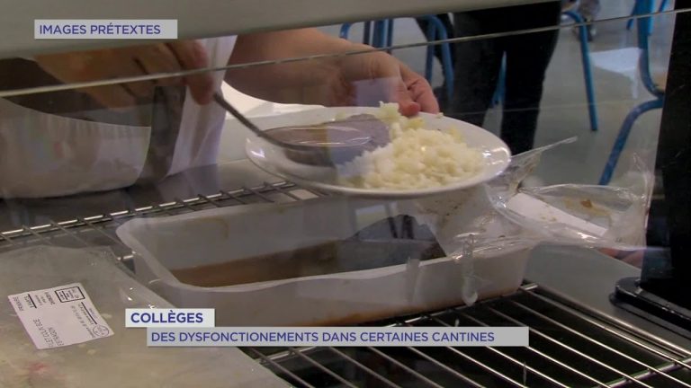 Yvelines | Collèges : Des dysfonctionnements dans les cantines
