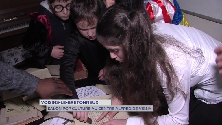 Yvelines | Voisins-le-Bretonneux : Salon pop culture au centre Alfred de Vigny