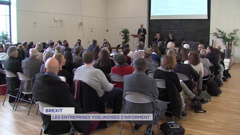 Yvelines | Brexit : les entreprises yvelinoises s&rsquo;informent