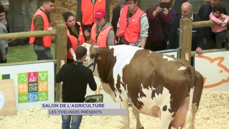 Yvelines | Salon de l’agriculture : les Yvelinois présents
