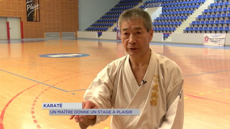 Yvelines | Karaté : Un maître donne un stage à Plaisir