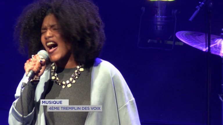 Yvelines | Musique : 4ème Tremplin des voix