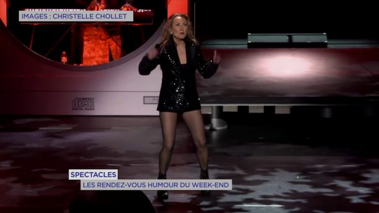 Yvelines | Spectacles : Les rendez-vous humour du week-end