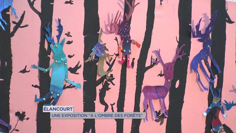 Yvelines | Elancourt : Une exposition  » à l&rsquo;ombre des forêts « 