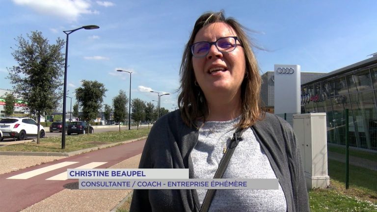 Yvelines | Entreprise éphémère : Le bilan des sept semaines d’expérience