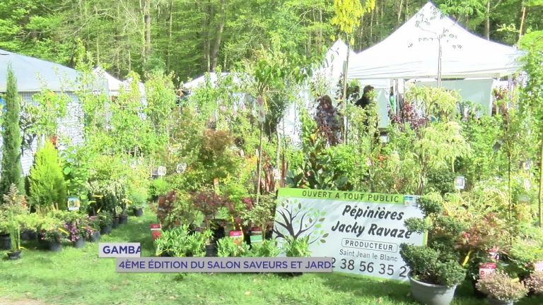 Yvelines | Gambais : 4ème édition du salon saveurs et jardins