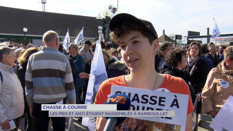 Yvelines | Chasse à courre : les pro et anti étaient rassemblés à Rambouillet