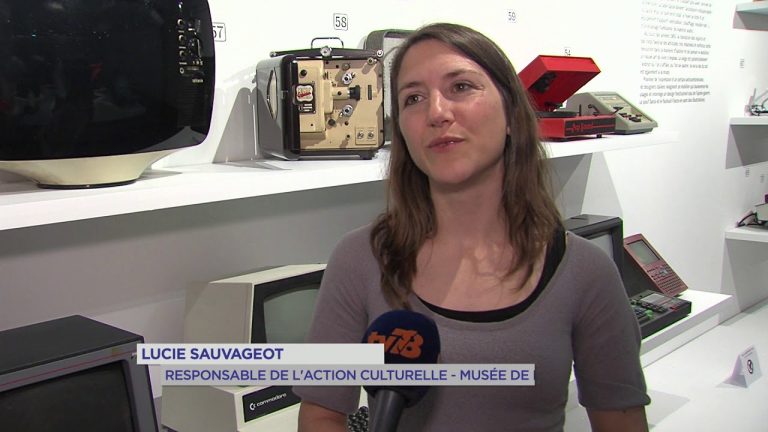 Yvelines | Nuit des musées : Le public au rendez-vous dans les Yvelines