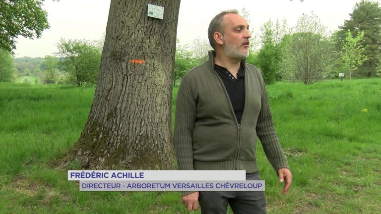 Yvelines | Balade : Nouveaux parcours à l&rsquo;arboretum de Versailles-Chèvreloup