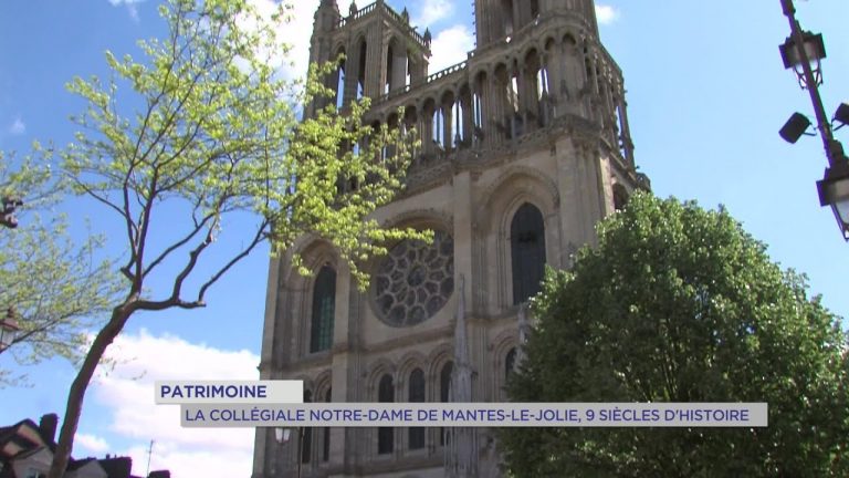 Yvelines | Patrimoine : La Collégiale Notre-Dame de Mantes-la-Jolie, 9 siècles d’histoire