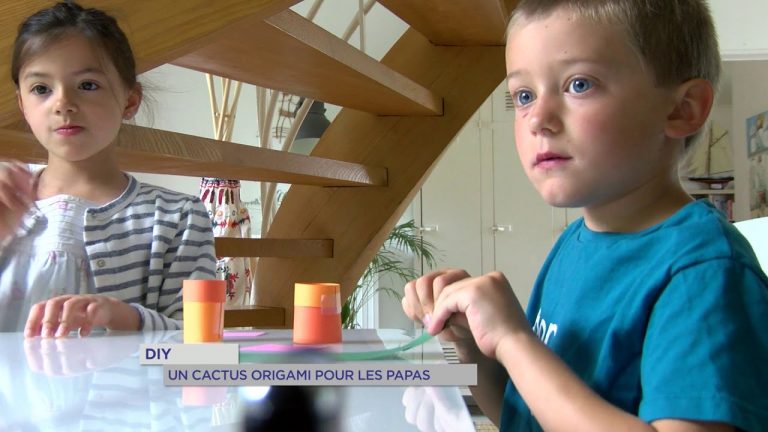 Yvelines | DIY : Un cactus origami pour les papas