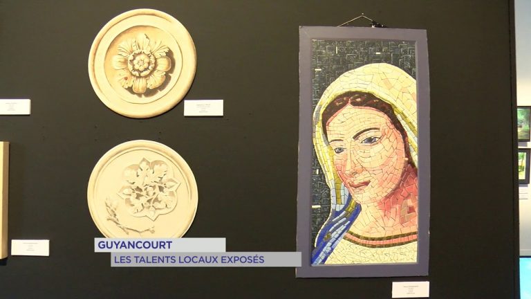 Yvelines | Guyancourt : Les talents locaux exposés
