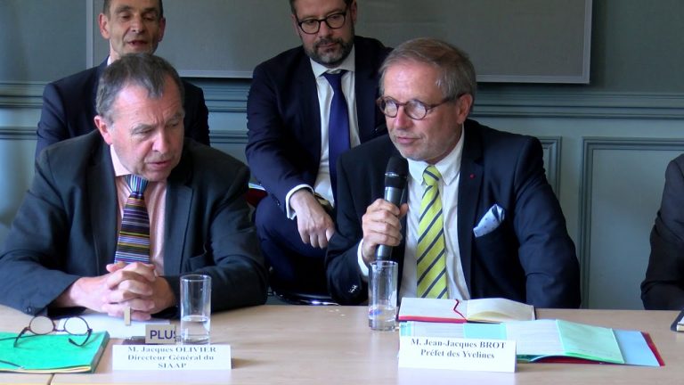 Yvelines | Pollution : plus de 3 tonnes de poissons morts recueillis dans la Seine