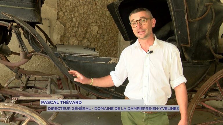 Yvelines | Musées : Quatre trésors à découvrir