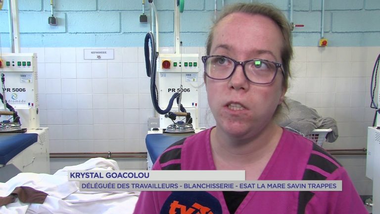 Yvelines | Trappes : 145 travailleurs handicapés tracent leur voie professionnelle