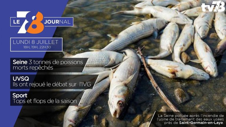 7/8 Le journal. lundi 8 juillet 2019