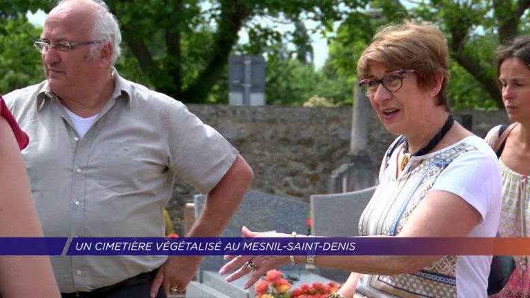 Yvelines | Présentation d’un cimetière végétalisé au Mesnil-Saint-Denis