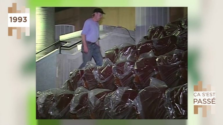 Les rendez-vous de tv78