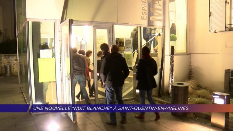 Yvelines | Une nouvelle  » Nuit blanche  » à Saint-Quentin-en-Yvelines