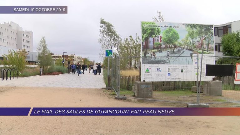 Yvelines | La Mail des Saules de Guyancourt fait peau neuve