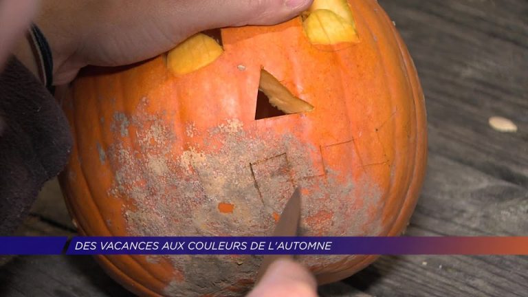 Yvelines | Des vacances aux couleurs de l’automne