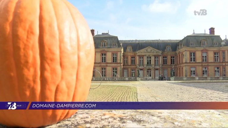 Des idées sorties pour les vacances de la Toussaint