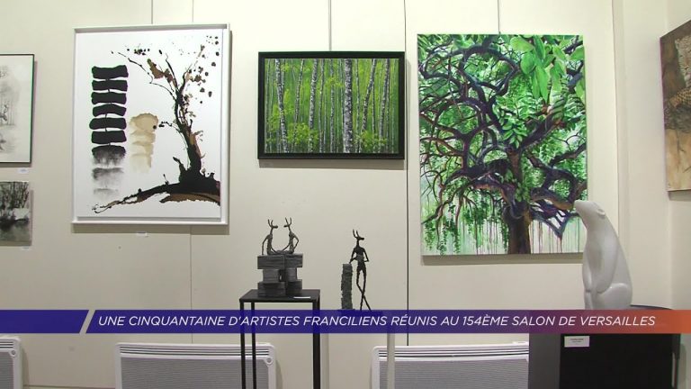 Yvelines | Une cinquantaine d’artistes franciliens réunis au 154e Salon de Versailles