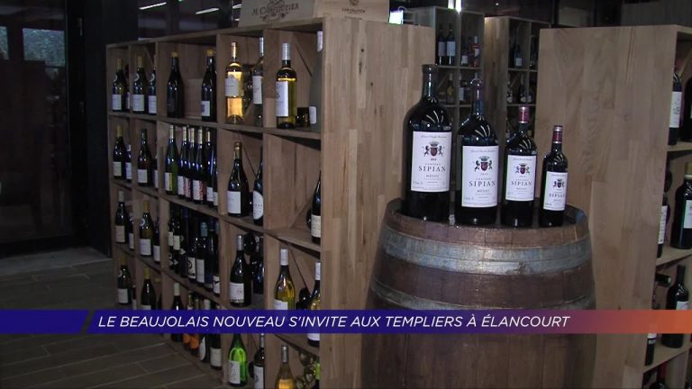 Yvelines | Le Beaujolais Nouveau s’invite aux Templiers à Elancourt